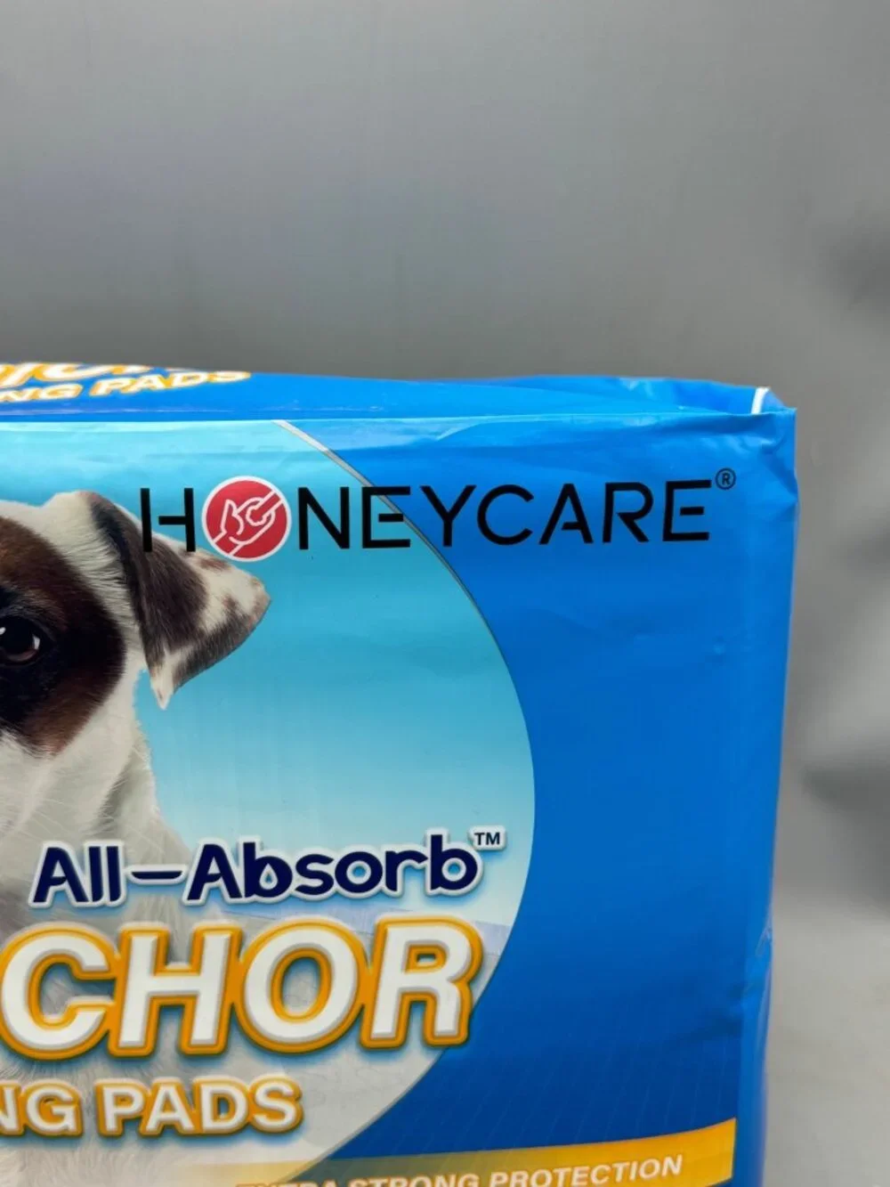 Honeycare All-Absorb Petrichor Training Pads 100 Ct 22